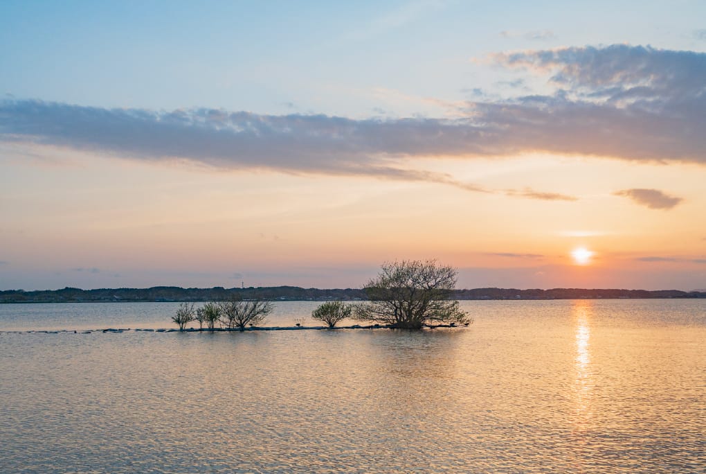 霞ヶ浦の夕景