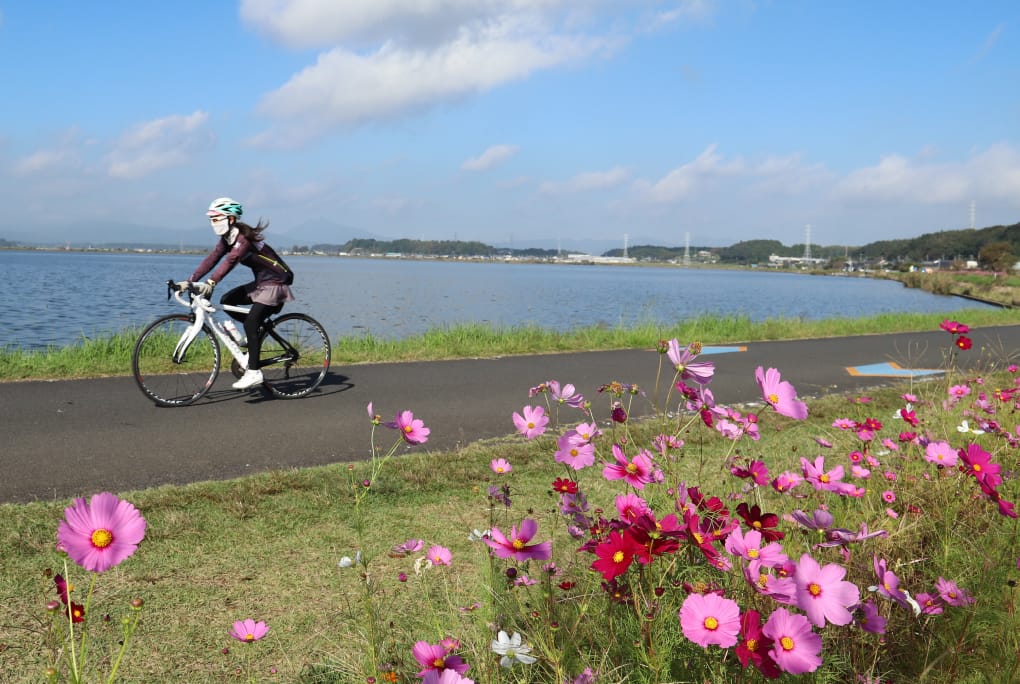 霞ヶ浦りんりんロードのサイクリング