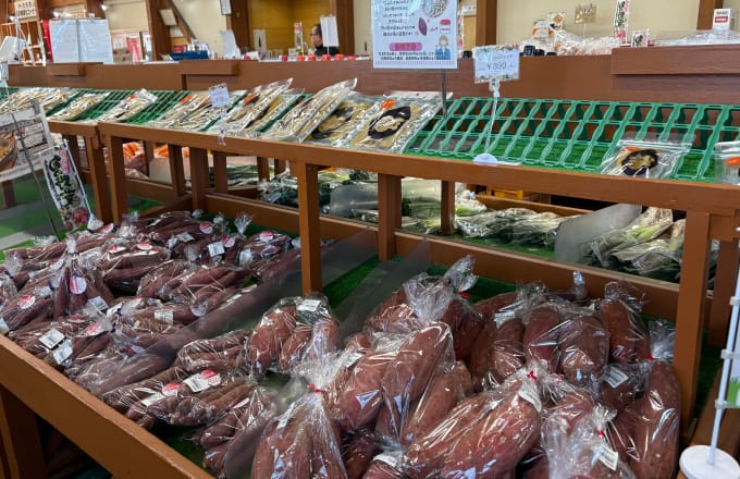 行方市産の朝どり野菜